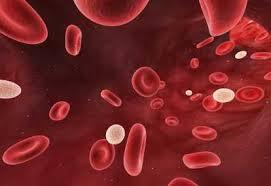 Inilah Yang Dikerjakan Organ Tubuh Saat Kita Tidur