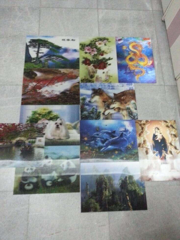 Jual Picture Transparan