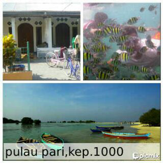 Promo murah pulau pari bulan maret