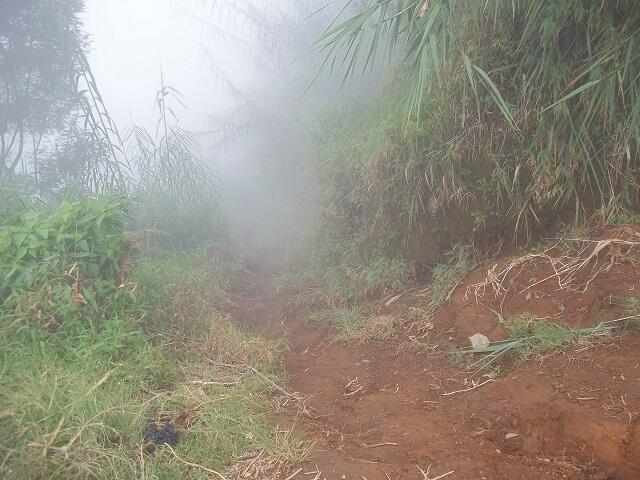 PENDAKIAN BASAH GUNUNG SUMBING 3.371 Mdpl ( via Bowongso ) 27 Feb – 01 Mar 2014