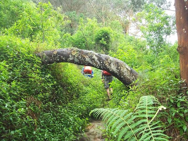 PENDAKIAN BASAH GUNUNG SUMBING 3.371 Mdpl ( via Bowongso ) 27 Feb – 01 Mar 2014