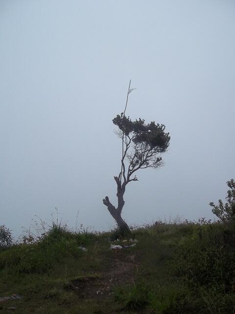PENDAKIAN BASAH GUNUNG SUMBING 3.371 Mdpl ( via Bowongso ) 27 Feb – 01 Mar 2014