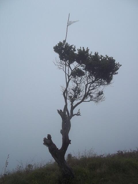 PENDAKIAN BASAH GUNUNG SUMBING 3.371 Mdpl ( via Bowongso ) 27 Feb – 01 Mar 2014