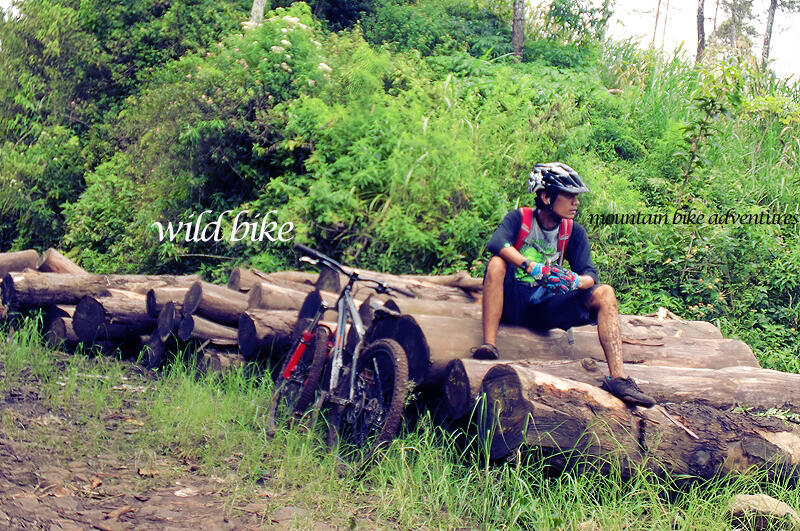 KOSKAS MALANG - ride & share