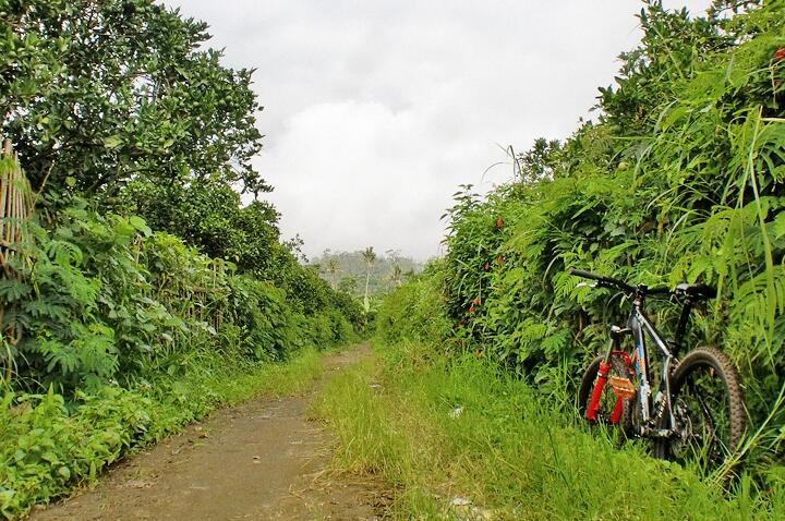 KOSKAS MALANG - ride & share