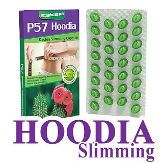 Obat Pelangsing Herbal Alami Hoodia P57