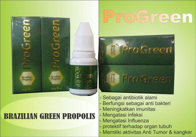 progreen propolis