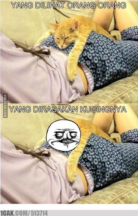 TERNYATA KUCING ITU . . . . 