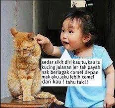 TERNYATA KUCING ITU . . . . 