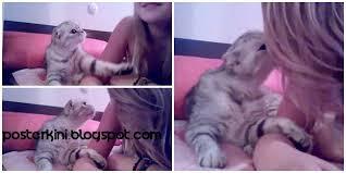 TERNYATA KUCING ITU . . . . 