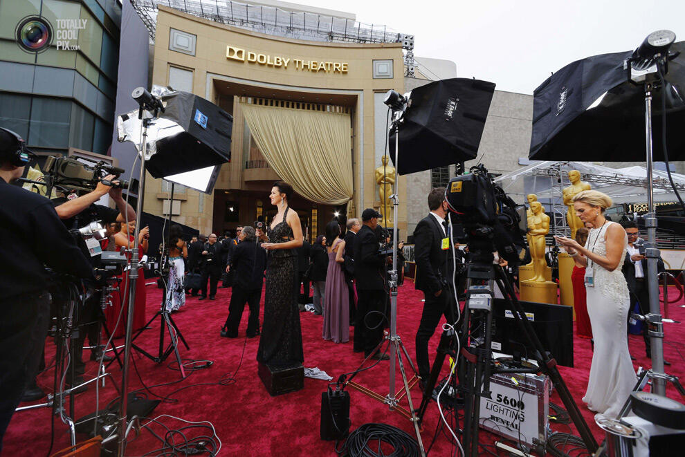 &quot;Oscar 2014&quot;, dari Red Carpet sampai The Winners ( Full Pic )