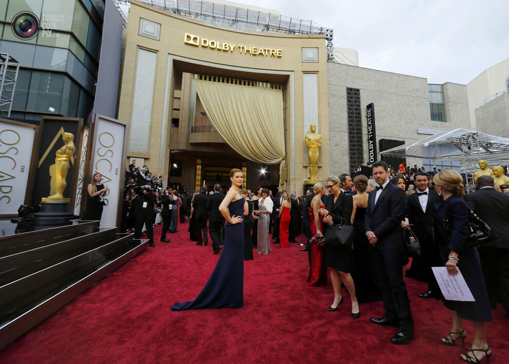 &quot;Oscar 2014&quot;, dari Red Carpet sampai The Winners ( Full Pic )