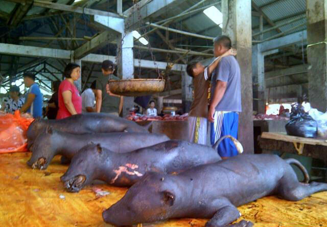 Pasar Tomohon , Pasar yang menjual daging anjing , ular ,biawak dan satwa liar lainya