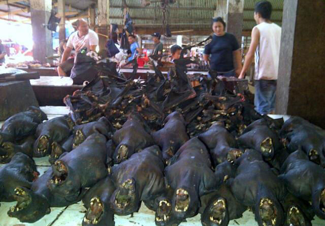 Pasar Tomohon , Pasar yang menjual daging anjing , ular ,biawak dan satwa liar lainya