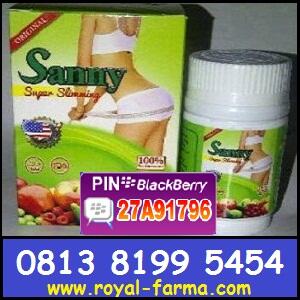 Obat pelangsing badan berkwalitas SANNY Sliming USA BB 27A91796