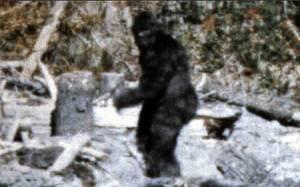 20 Kisah Misteri yang Tak Terpecahkan