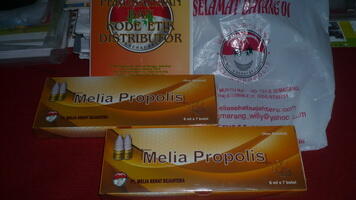 BUKAN MLM !! PROPOLIS ASLI BERSEGEL HARGA NEGO