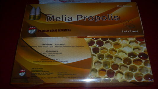 Propolis Asli harga miring