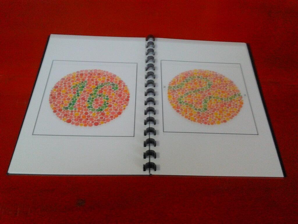 BUKU ISHIHARA / ISHIHARA TEST / BUKU BUTA WARNA / TERAPI BUTA WARNA PARSIAL / CB/BW