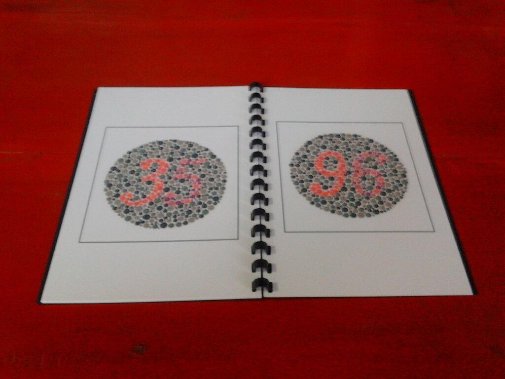 BUKU ISHIHARA / ISHIHARA TEST / BUKU BUTA WARNA / TERAPI BUTA WARNA PARSIAL / CB/BW