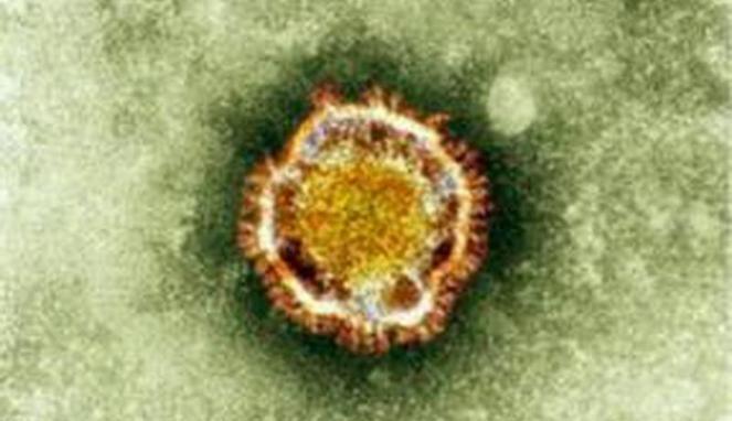 Virus Berusia 30.000 Tahun Bisa Hidup Lagi