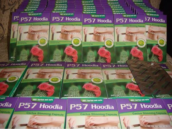 Hoodia p57 pelangsing tubuh