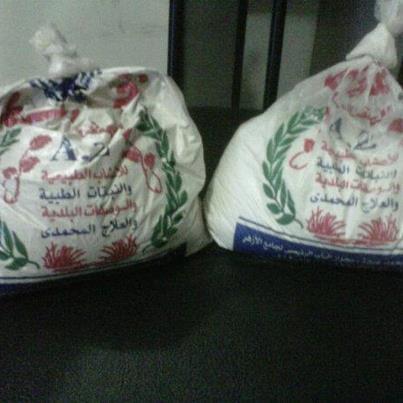Pucuk Kurma