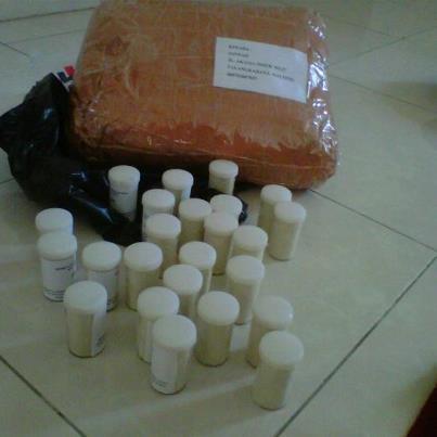 Pucuk Kurma