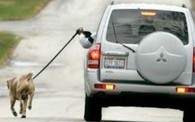 Sungguh, Tingkah Malas Orang-Orang Ini Tak Tertolong!