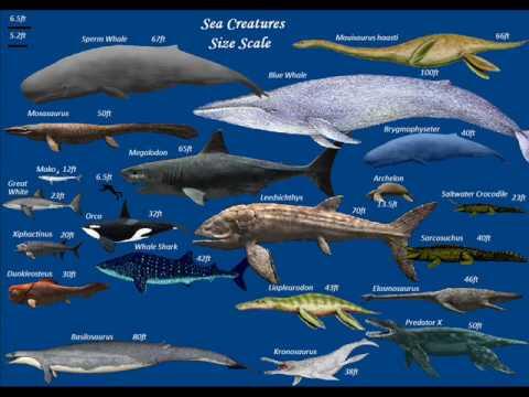 10 Monster Laut Terbesar Didunia