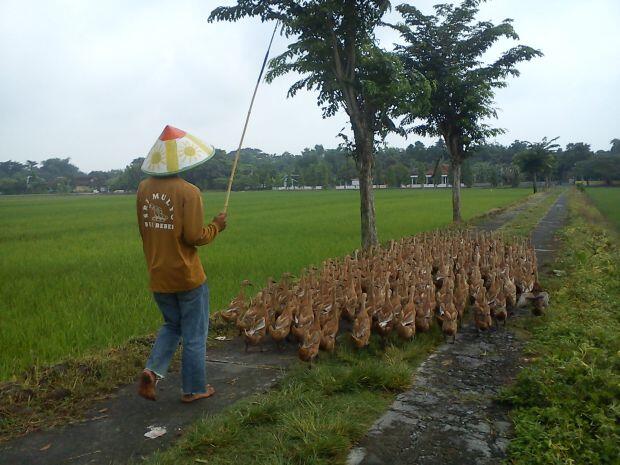 &#91;CENTER&#93;HATI-HATI. SALAH BERDOA, BISA FATAL AKIBATNYA!&#91;/CENTER&#93;