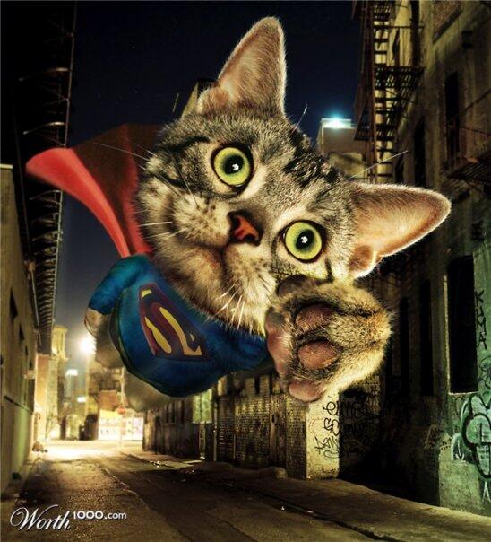 Reinkarnasi Para Superhero Dunia (Pict)