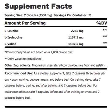 Suplemen Fitnes BCAA Eceran