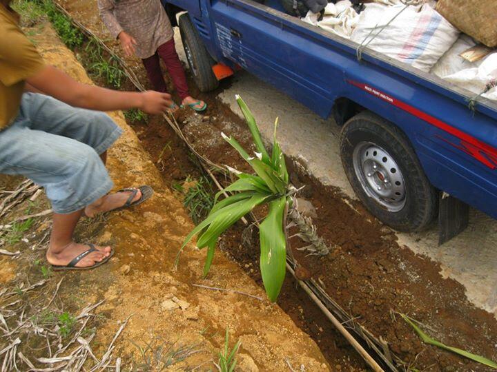 SELAMAT MENDAKI GUNUNG SELAMET 