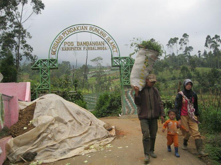 SELAMAT MENDAKI GUNUNG SELAMET 