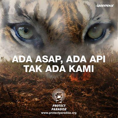 Head &amp; Shoulders bisa menghilangkan hutan Indonesia setiap kali menghilangkan ketombe