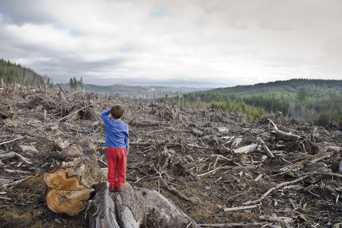 Finger Print untuk Mencegah Illegal Logging?