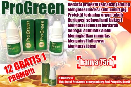 progreen propolis