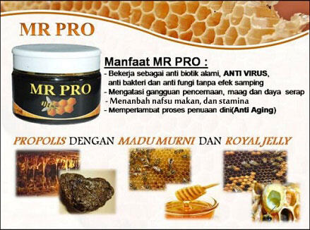 WTS MR.PRO Penggemuk Badan,Penambah Nafsu Makan&Daya Tahan Tubuh u/anak&dewasa HERBAL