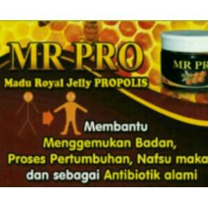 WTS MR.PRO Penggemuk Badan,Penambah Nafsu Makan&Daya Tahan Tubuh u/anak&dewasa HERBAL