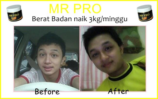 WTS MR.PRO Penggemuk Badan,Penambah Nafsu Makan&Daya Tahan Tubuh u/anak&dewasa HERBAL
