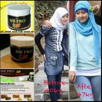 WTS MR.PRO Penggemuk Badan,Penambah Nafsu Makan&Daya Tahan Tubuh u/anak&dewasa HERBAL
