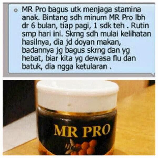 WTS MR.PRO Penggemuk Badan,Penambah Nafsu Makan&Daya Tahan Tubuh u/anak&dewasa HERBAL