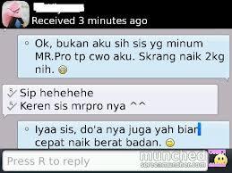 WTS MR.PRO Penggemuk Badan,Penambah Nafsu Makan&Daya Tahan Tubuh u/anak&dewasa HERBAL