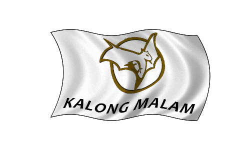 Hal-hal apa aja yang dilakukan jomblo di hari minggu ?