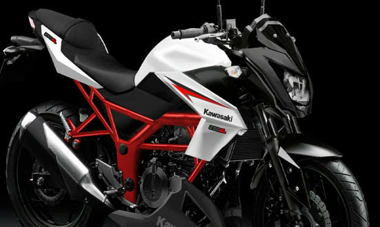 Ninja RR Mono NAKED Segera Meramaikan Jalanan !!!