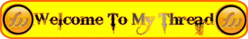 `||=|| &#91;PENTING !!!!&#93; 8 Tips aman saat online ||=||`