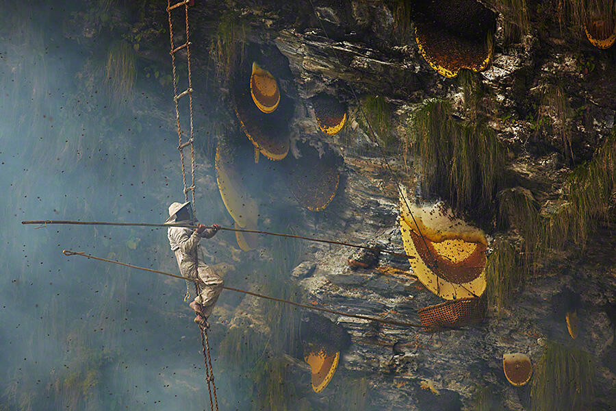 Pemburu Madu Tradisional di Nepal