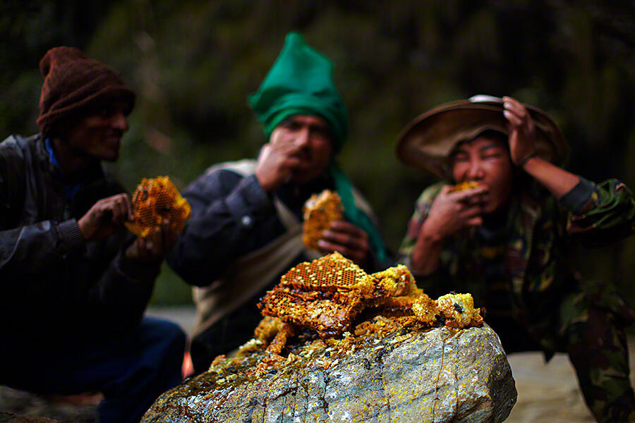 Pemburu Madu Tradisional di Nepal