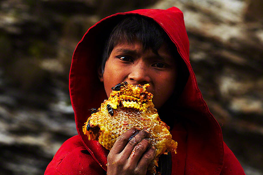 Pemburu Madu Tradisional di Nepal